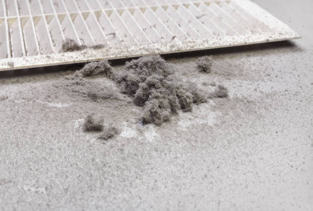 Best Affordable Duct Cleaning Services  in Alliance, OH