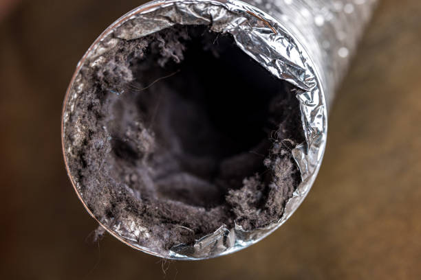 Best Air Duct Cleaning Company Near Me  in Alliance, OH